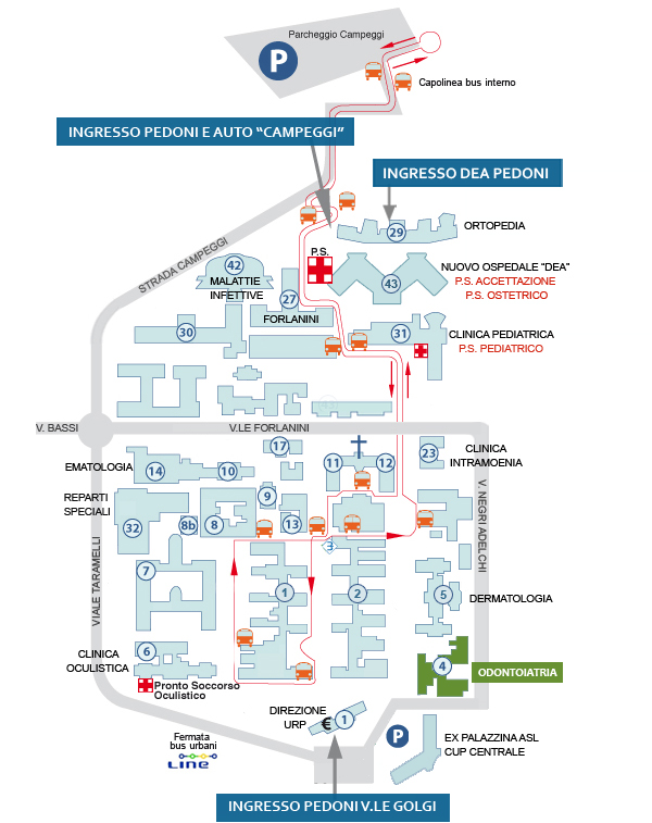 Odontostomatologia