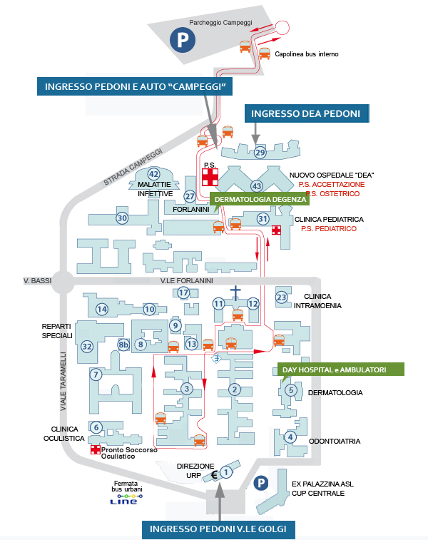 Dermatologia