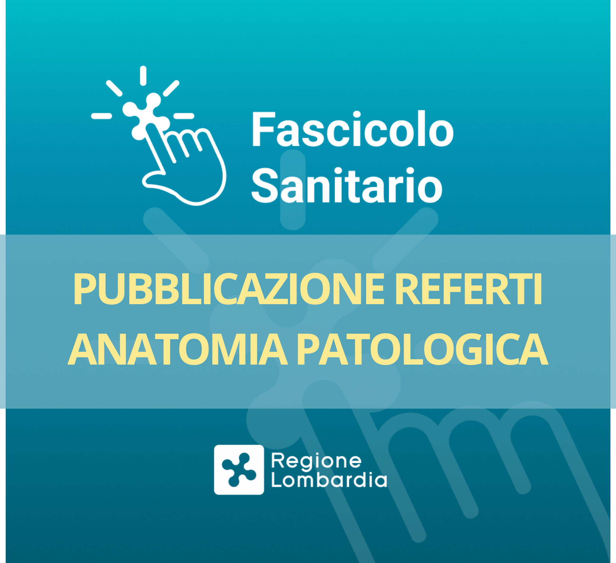 referti anatomia patologica news e avvisi
