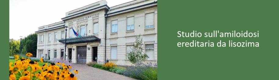 Slider amiloidosi da lisozima