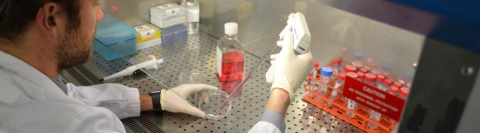 Laboratorio ricerca provette