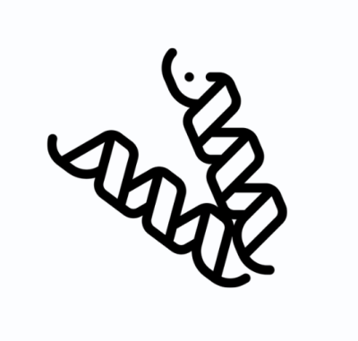 CENTRO PER LO STUDIO E LA CURA DELLE AMILOIDOSI SISTEMICHE