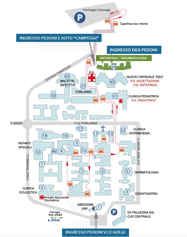 Mappa - SS Patologie del Rachide