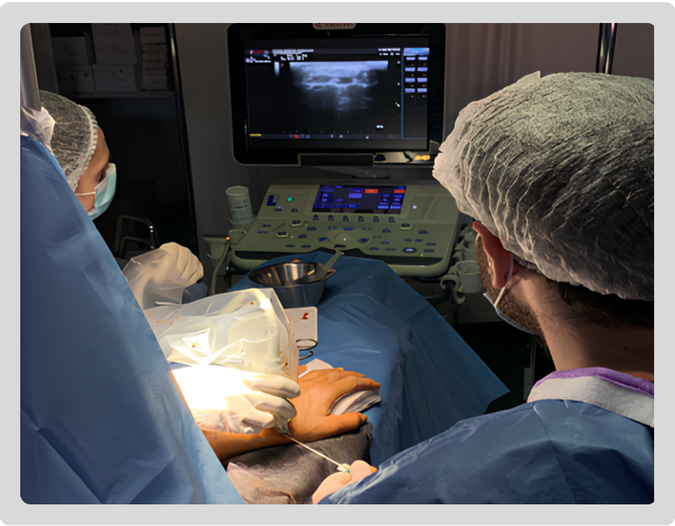 Reumatologia - IMMG1