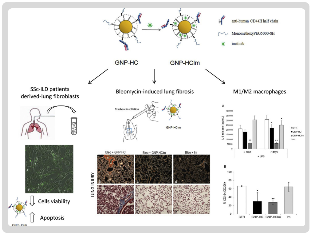 Reumatologia - IMMG2