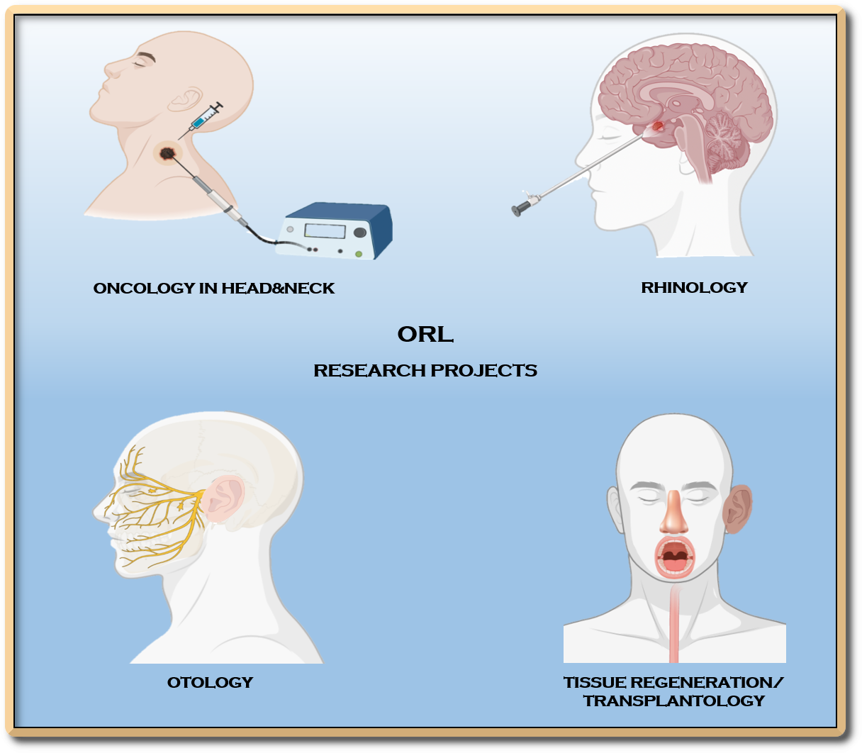 Bioscaffolds and transplantation - IMMG1