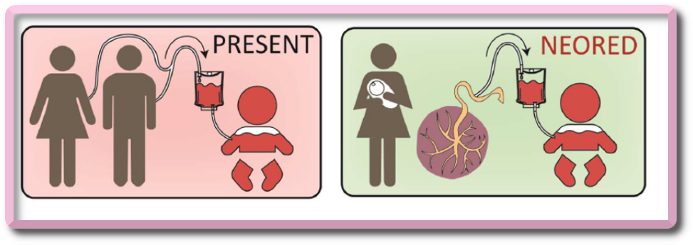 Transfusion and coagulation in the critically ill newborn - IMMG1